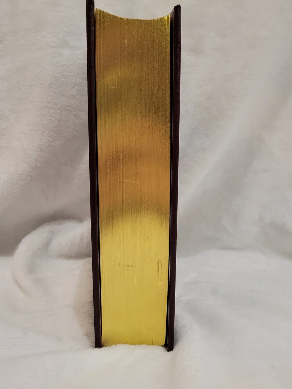 Vintage Tally Hall Press edition of The Nature Writings of Henry David Thoreau